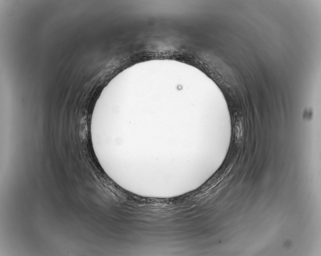 X0000098211204200805221620
