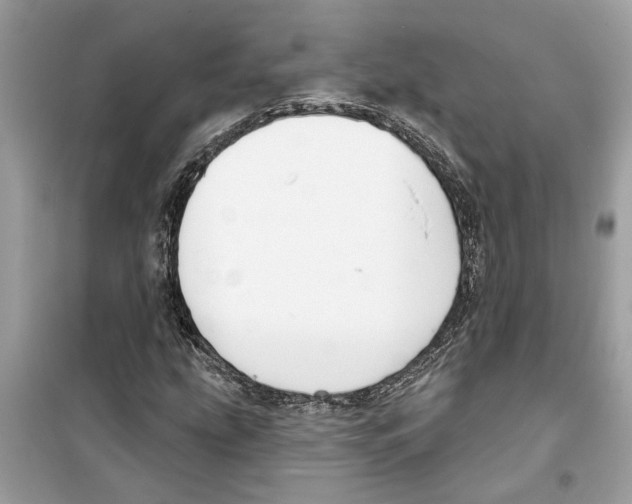 X0000098211207200805221620