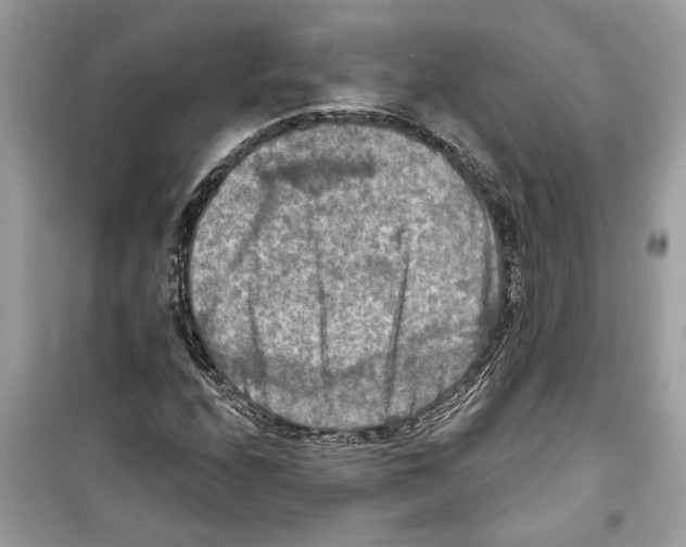 X0000098211208200805221620