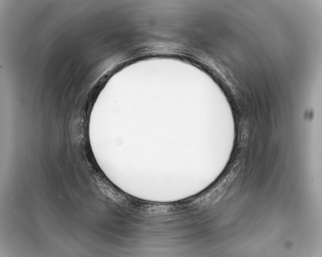 X0000098211211200805221620