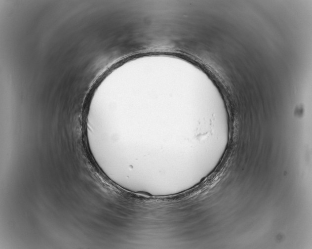 X0000098211212200805221620