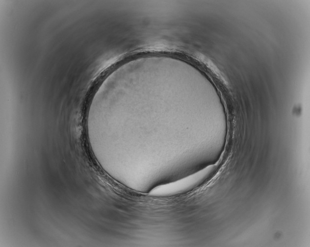 X0000098211213200805221620