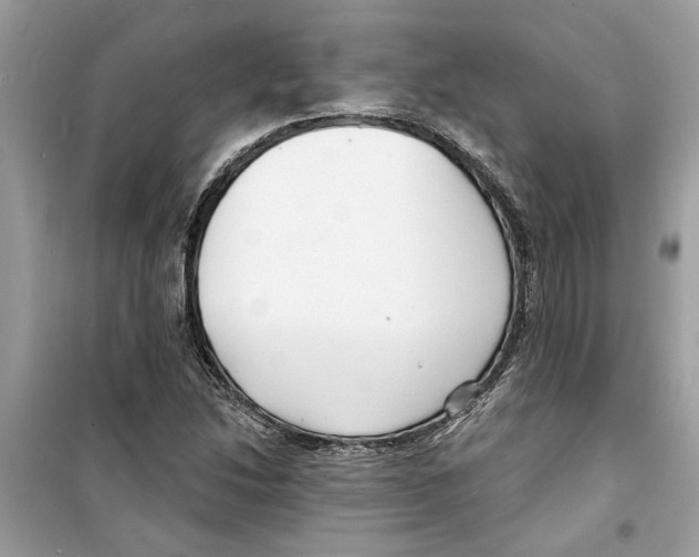 X0000098211214200805221620