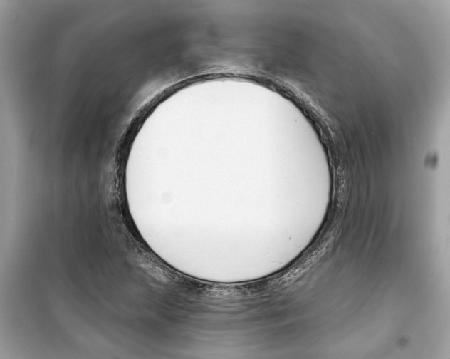 X0000098211215200805221620
