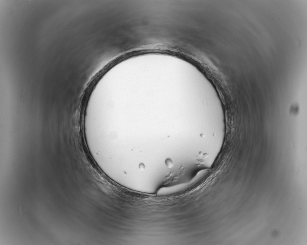 X0000098211216200805221620