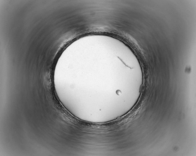 X0000098211218200805221620