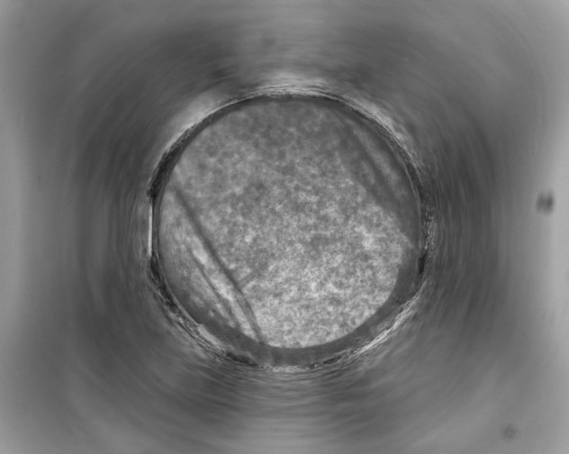 X0000098211219200805221620