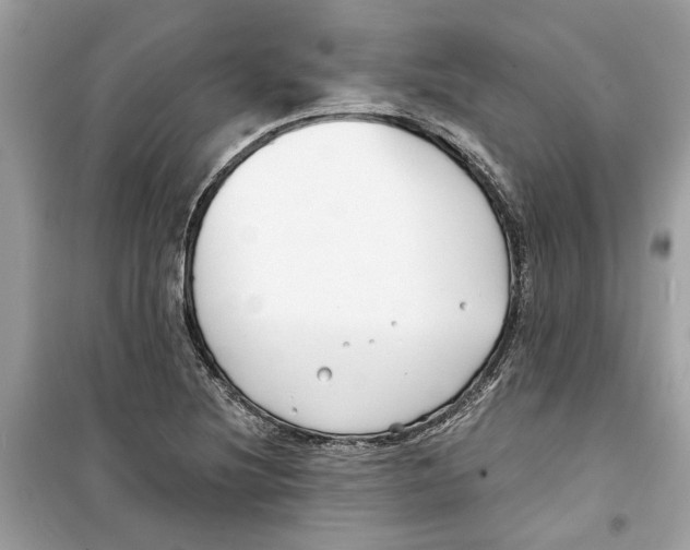 X0000098211220200805221620