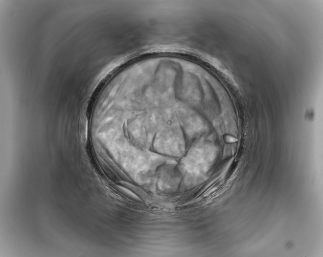 X0000098211221200805221620