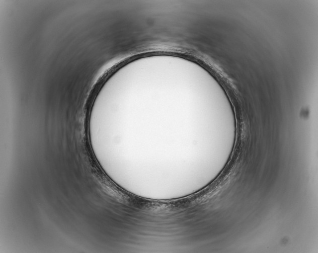 X0000098211222200805221620