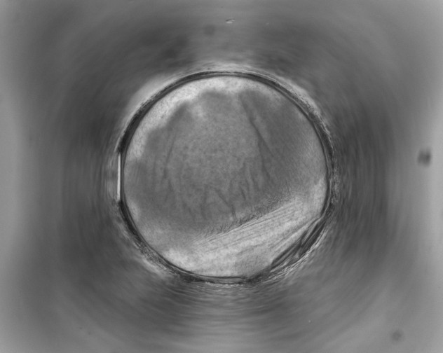 X0000098211223200805221620