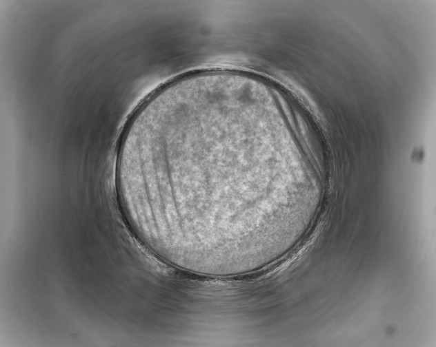 X0000098211224200805221620