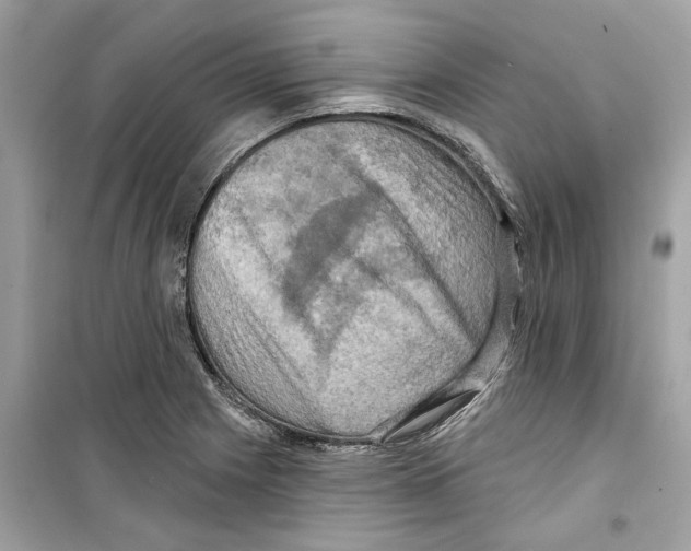 X0000098211225200805221620