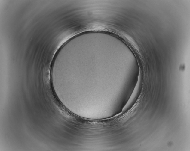 X0000098211226200805221620