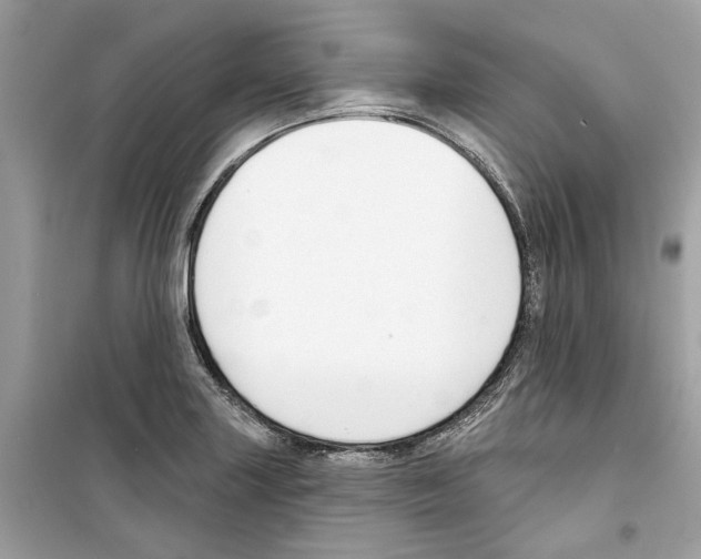X0000098211227200805221620