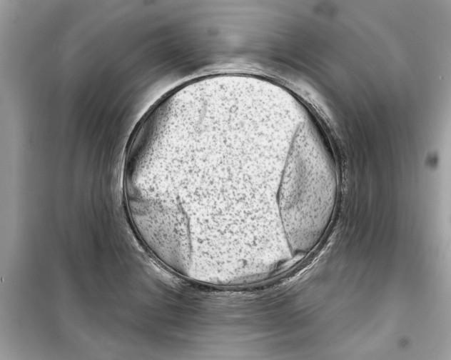 X0000098211228200805221620