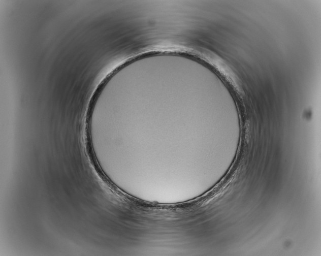 X0000098211229200805221620