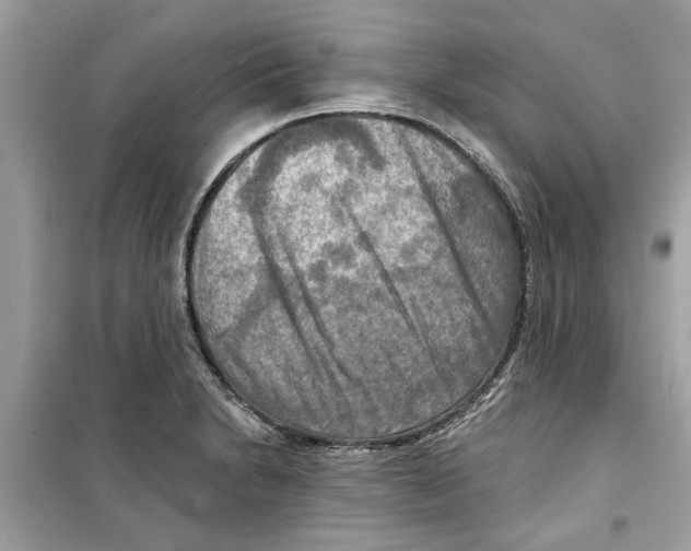 X0000098211230200805221620