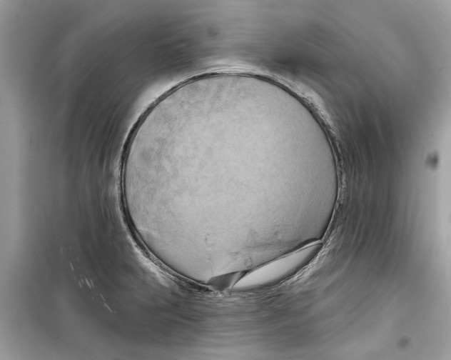 X0000098211231200805221620
