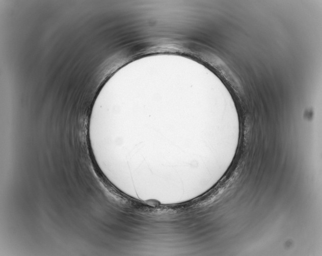 X0000098211233200805221620