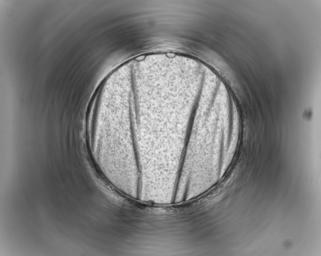 X0000098211234200805221620