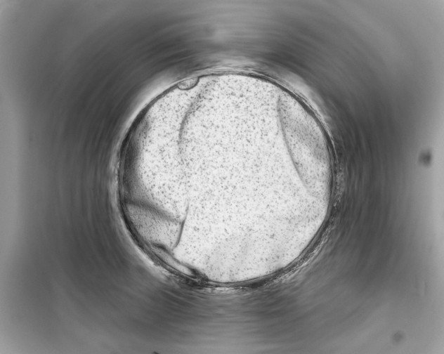 X0000098211235200805221620