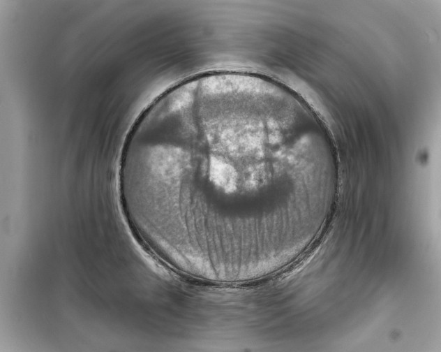 X0000098211237200805221620