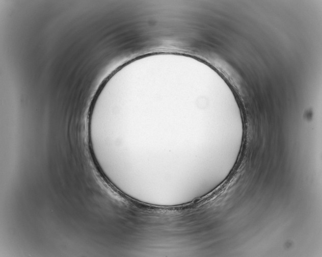 X0000098211238200805221620