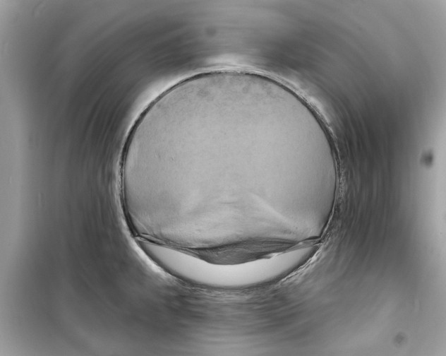 X0000098211239200805221620