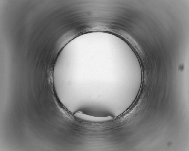 X0000098211241200805221620