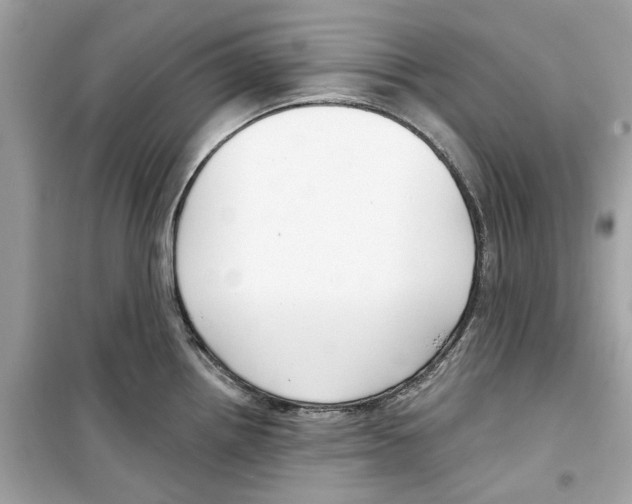 X0000098211242200805221620