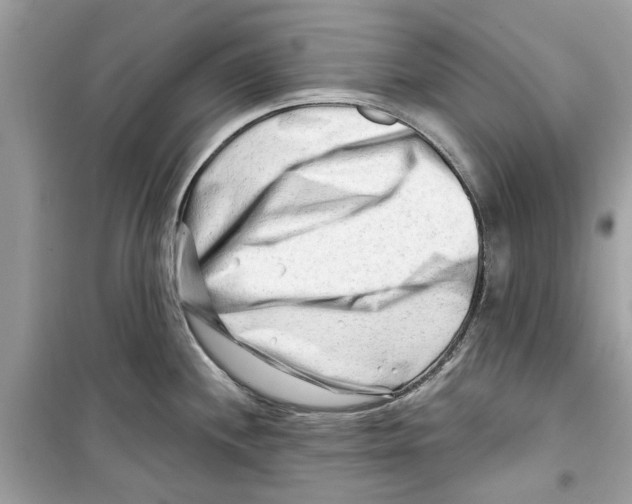 X0000098211244200805221620