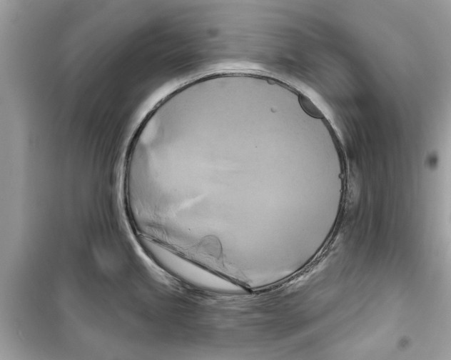 X0000098211245200805221620