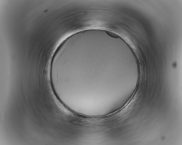 X0000098211246200805221620