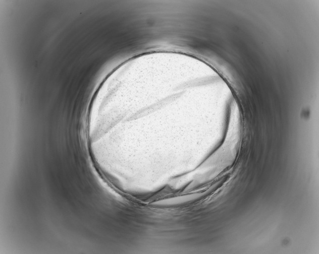 X0000098211247200805221620