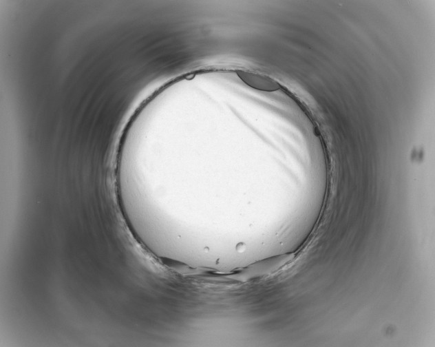 X0000098211248200805221620