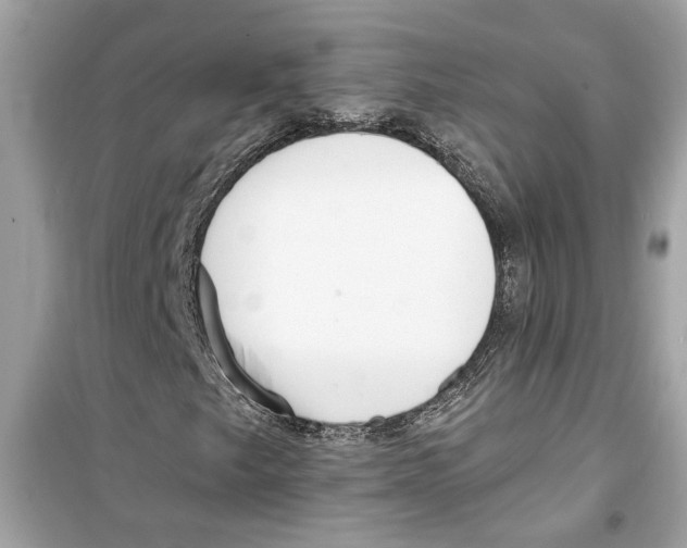 X0000098211249200805221620