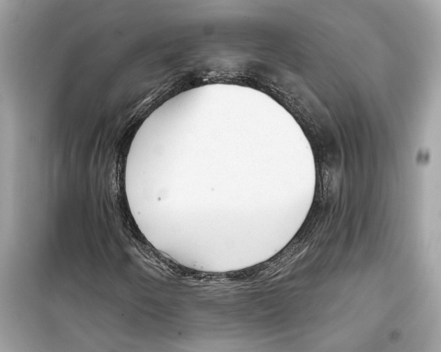 X0000098211250200805221620