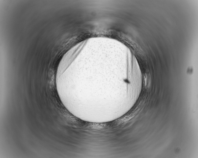X0000098211251200805221620