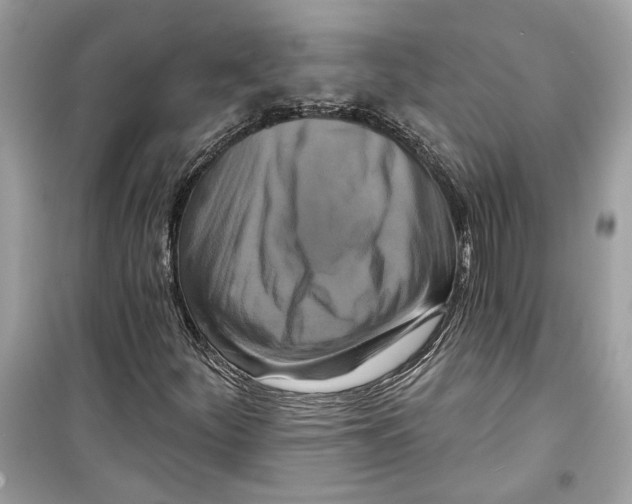 X0000098211252200805221620