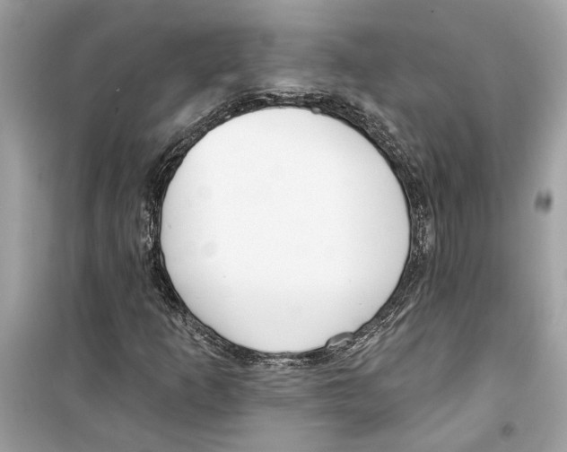 X0000098211253200805221620