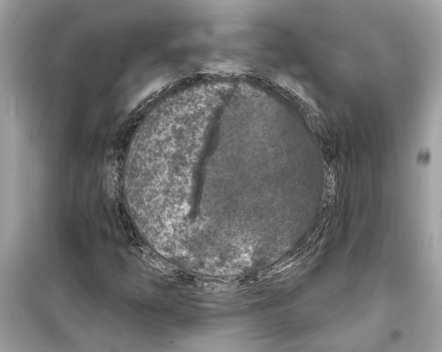 X0000098211254200805221620
