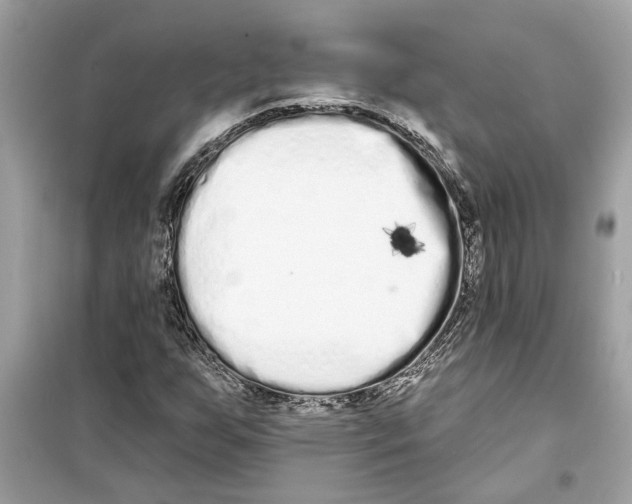 X0000098211255200805221620