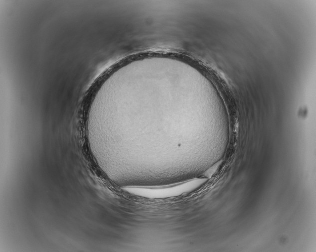 X0000098211256200805221620