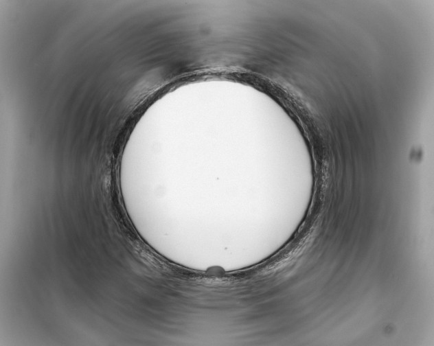 X0000098211257200805221620
