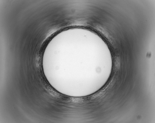X0000098211258200805221620