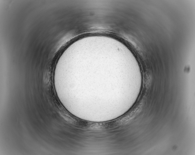 X0000098211259200805221620
