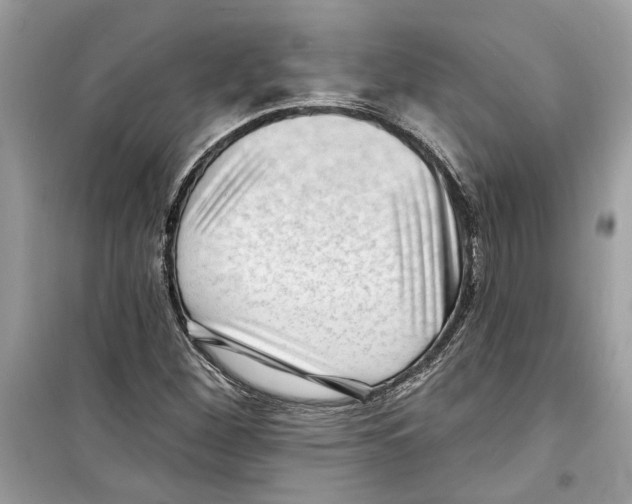 X0000098211260200805221619