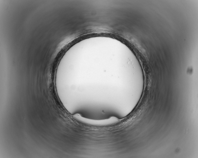X0000098211261200805221619
