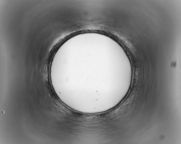 X0000098211262200805221619